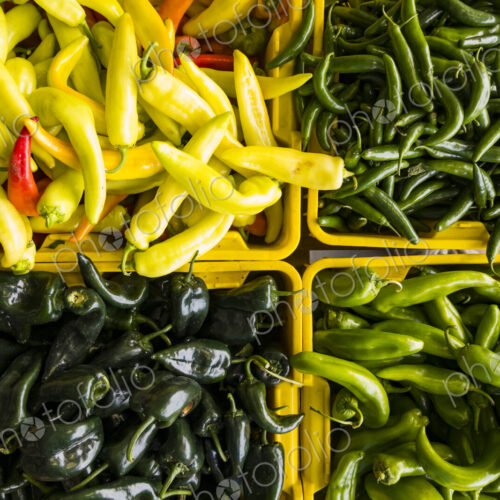 Overview of varieties of chili peppers on a market stall. Overview of varieties of chili peppers on a market stall.