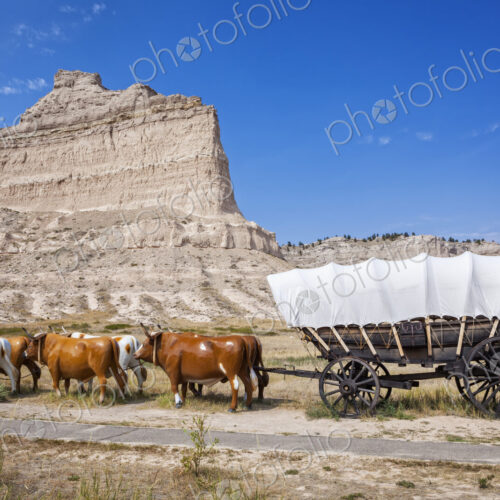 Oxen pulling covered wagon by rock formation, Scott's Bluff National Monument,…