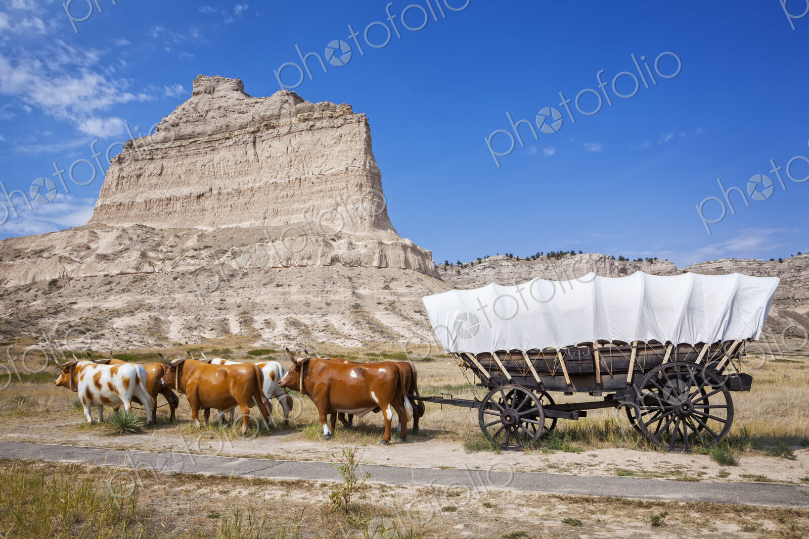 Oxen pulling covered wagon by rock formation, Scott’s Bluff National Monument,…