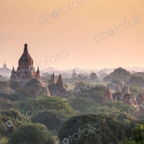 Pagodas in landscape