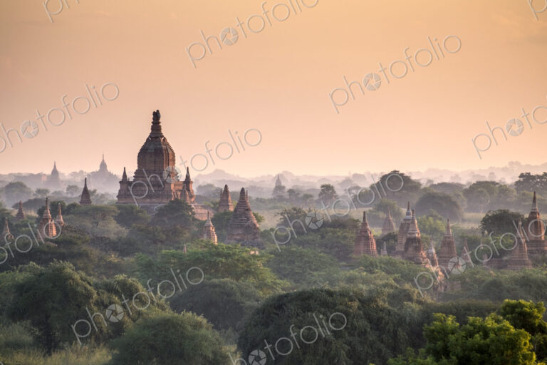 Pagodas in landscape