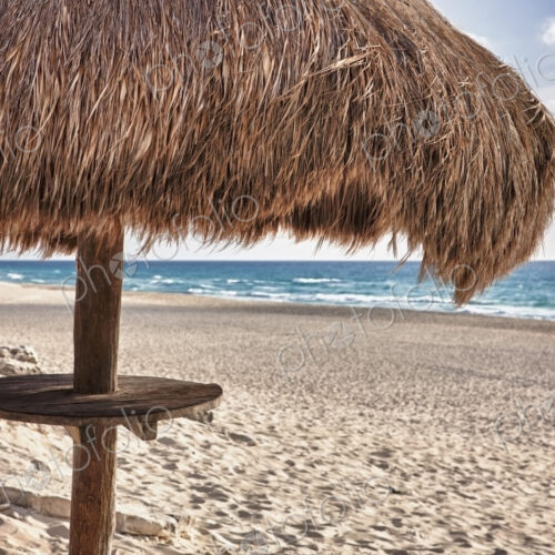 Palapa thatch sun umbrella on the beach at Cancun Palapa thatch sun umbrella on the beach at Cancun
