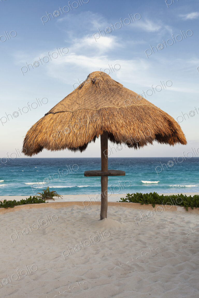 Palapa thatched shade on the beach.
