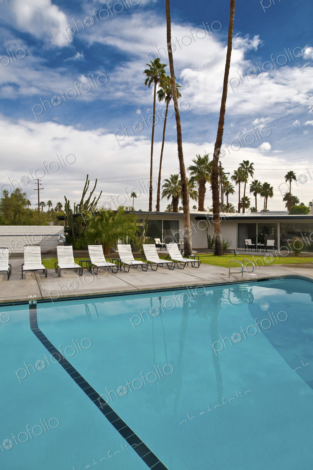 Palm Springs motel swimming pool and sun loungers with palm trees