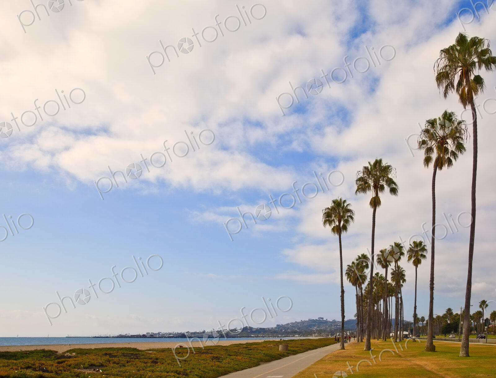 Palm Trees on Beach Sidewalk
