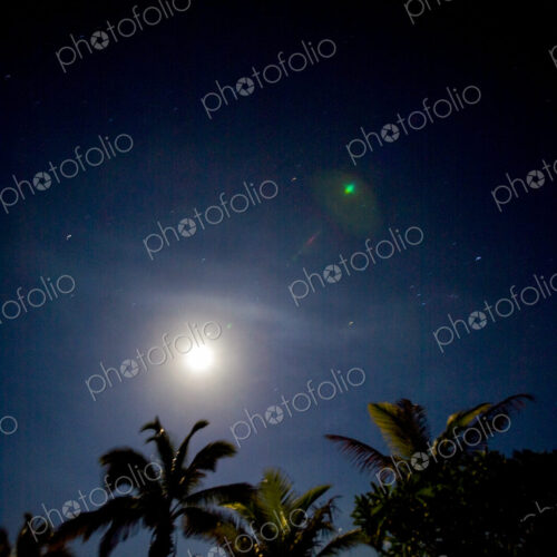 Palm trees at dusk during winter solstice, Kona, the moon and stars above. Palm trees at dusk during winter solstice, Kona, the moon and stars above.