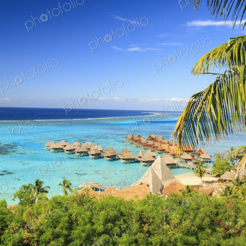 Palm trees overlooking tropical resort, Bora Bora, French Polynesia Palm trees overlooking tropical resort, Bora Bora, French Polynesia