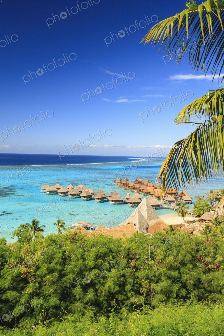 Palm trees overlooking tropical resort, Bora Bora, French Polynesia