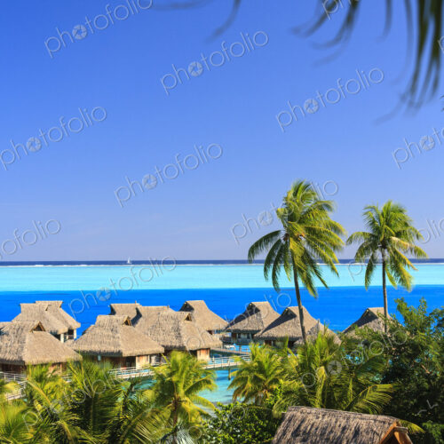 Palm trees overlooking tropical resort, Bora Bora, French Polynesia Palm trees overlooking tropical resort, Bora Bora, French Polynesia