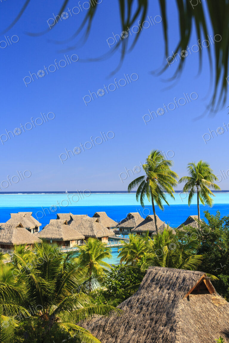Palm trees overlooking tropical resort, Bora Bora, French Polynesia