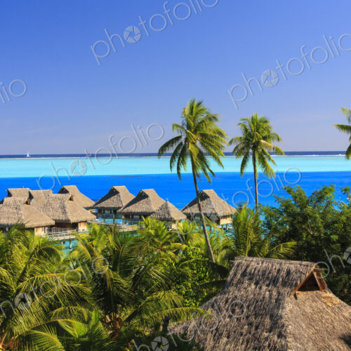Palm trees overlooking tropical resort, Bora Bora, French Polynesia Palm trees overlooking tropical resort, Bora Bora, French Polynesia