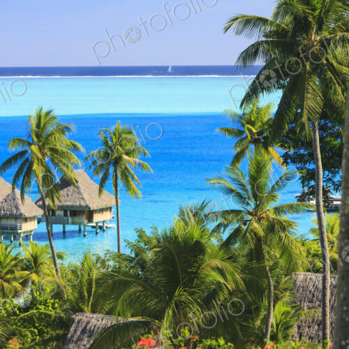 Palm trees overlooking tropical resort, Bora Bora, French Polynesia Palm trees overlooking tropical resort, Bora Bora, French Polynesia