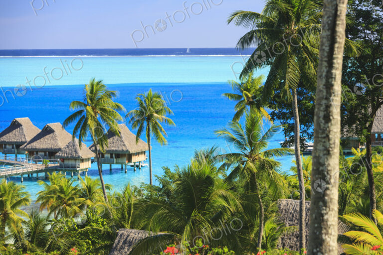 Palm trees overlooking tropical resort, Bora Bora, French Polynesia