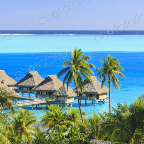 Palm trees overlooking tropical resort, Bora Bora, French Polynesia Palm trees overlooking tropical resort, Bora Bora, French Polynesia