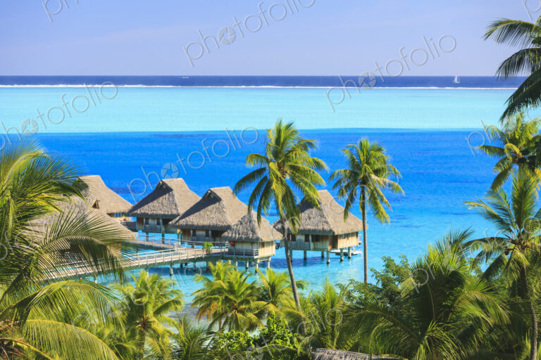 Palm trees overlooking tropical resort, Bora Bora, French Polynesia