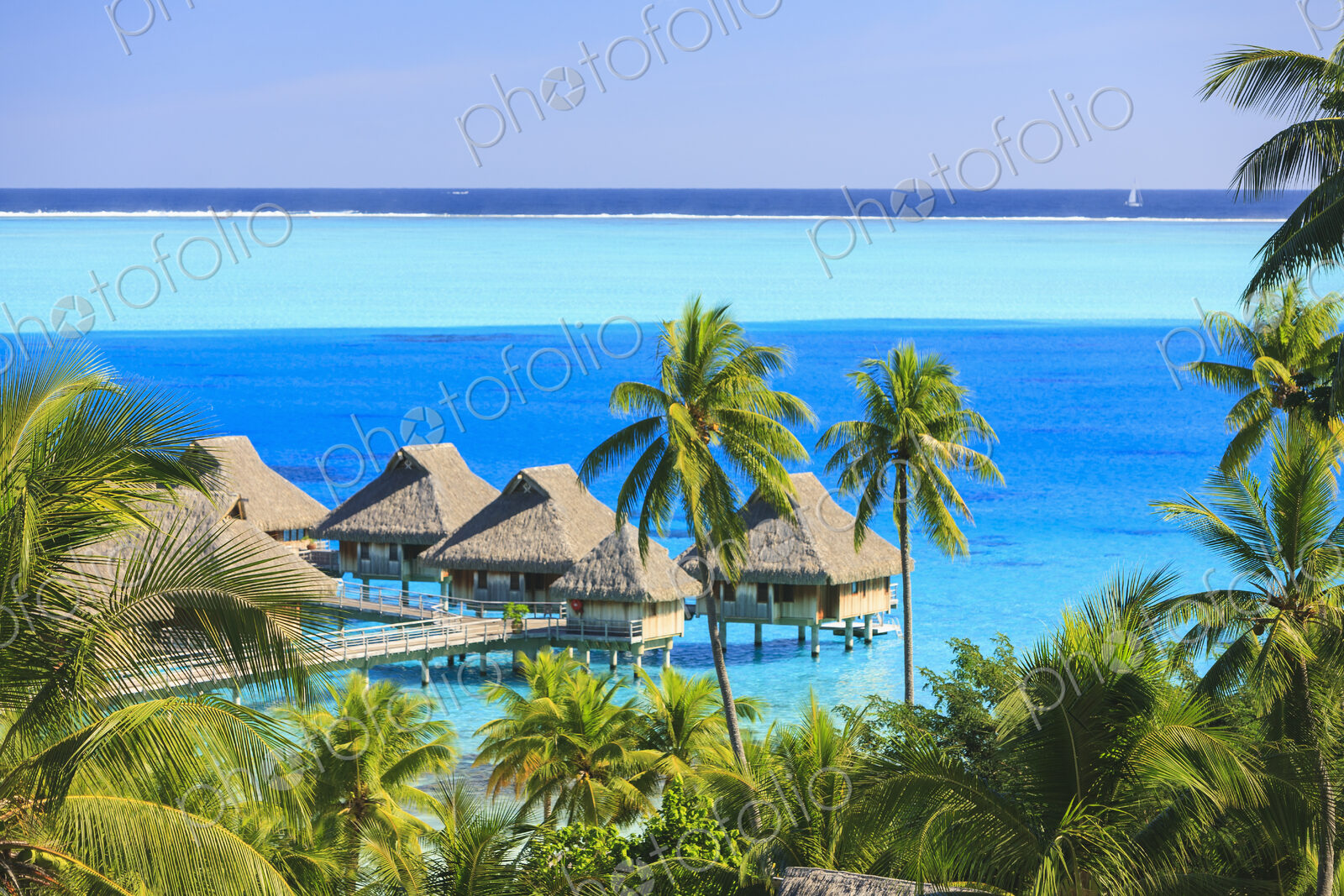 Palm trees overlooking tropical resort, Bora Bora, French Polynesia