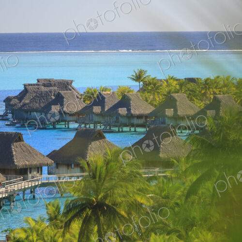 Palm trees overlooking tropical resort, Bora Bora, French Polynesia Palm trees overlooking tropical resort, Bora Bora, French Polynesia