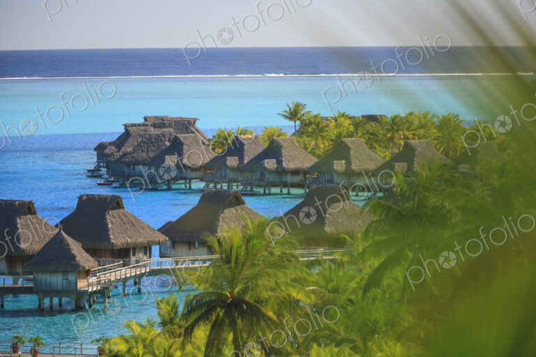 Palm trees overlooking tropical resort, Bora Bora, French Polynesia