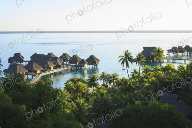 Palm trees overlooking tropical resort, Bora Bora, French Polynesia