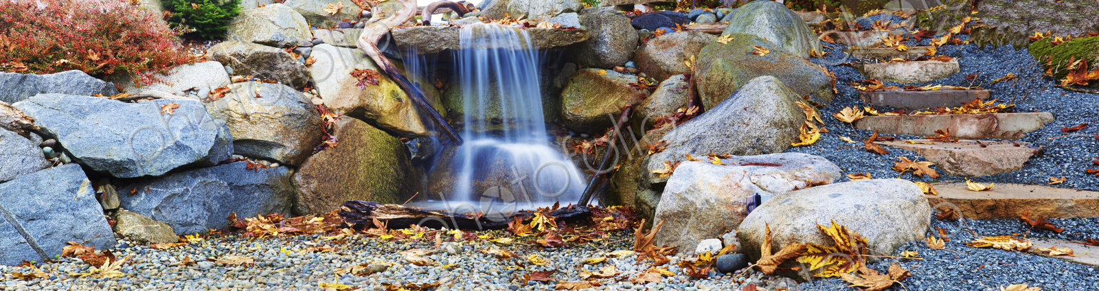 Panorama of a small waterfall water feature in a garden, autumn leaves.