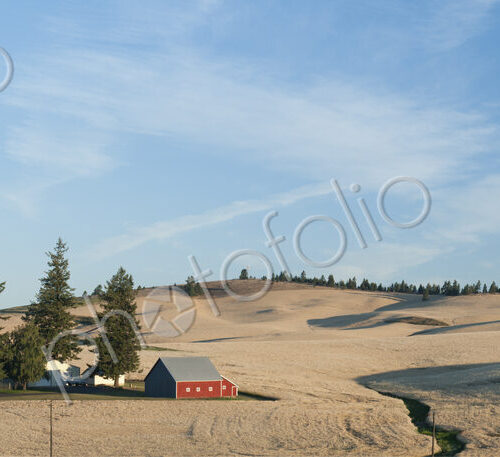Panoramic view of a farming landscape, a red painted Dutch barn and farm buildings, a… Panoramic view of a farming landscape, a red painted Dutch barn and farm buildings, a…