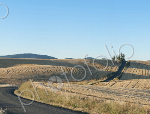 Panoramic view of the farmland at Palouse, a blacktop road and undulating farmland…