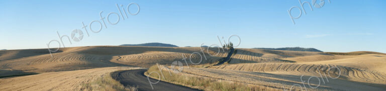 Panoramic view of the farmland at Palouse, a blacktop road and undulating farmland…