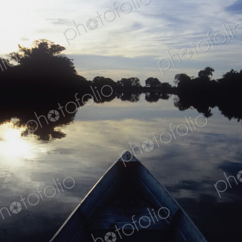 Pantanal Wetlands at Dusk Pantanal Wetlands at Dusk