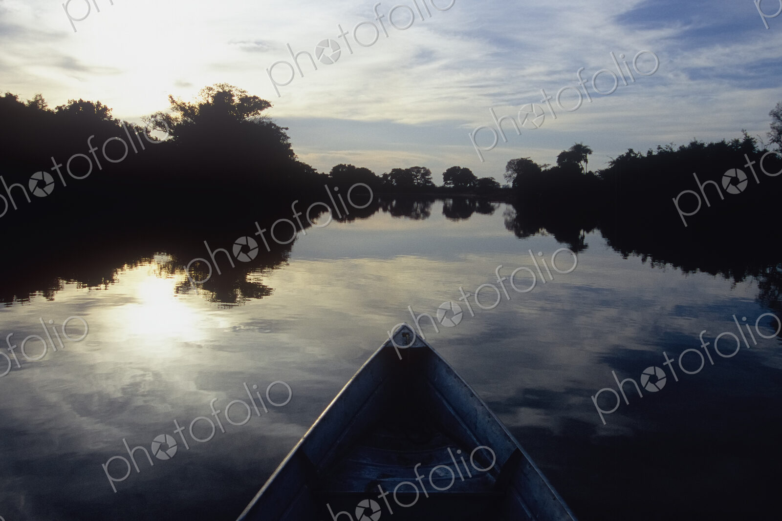 Pantanal Wetlands at Dusk