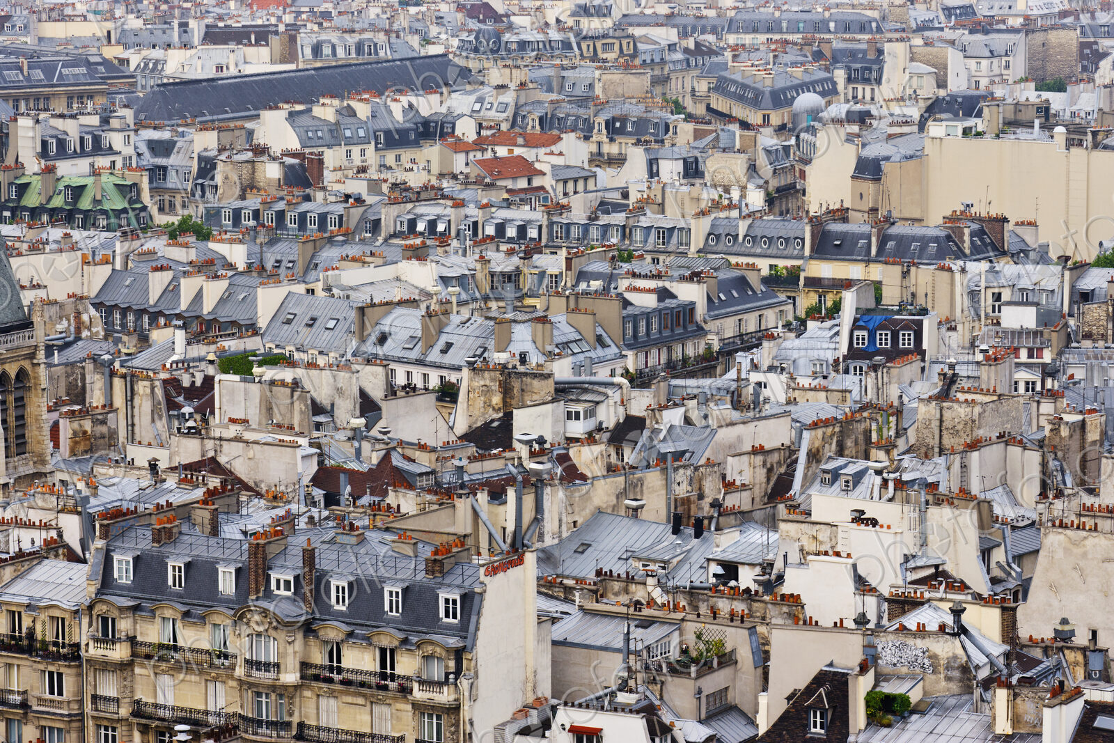 Paris Rooftops
