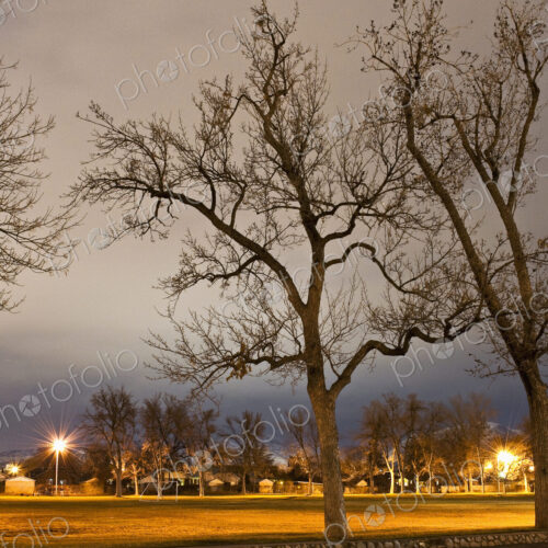Park Field at Night