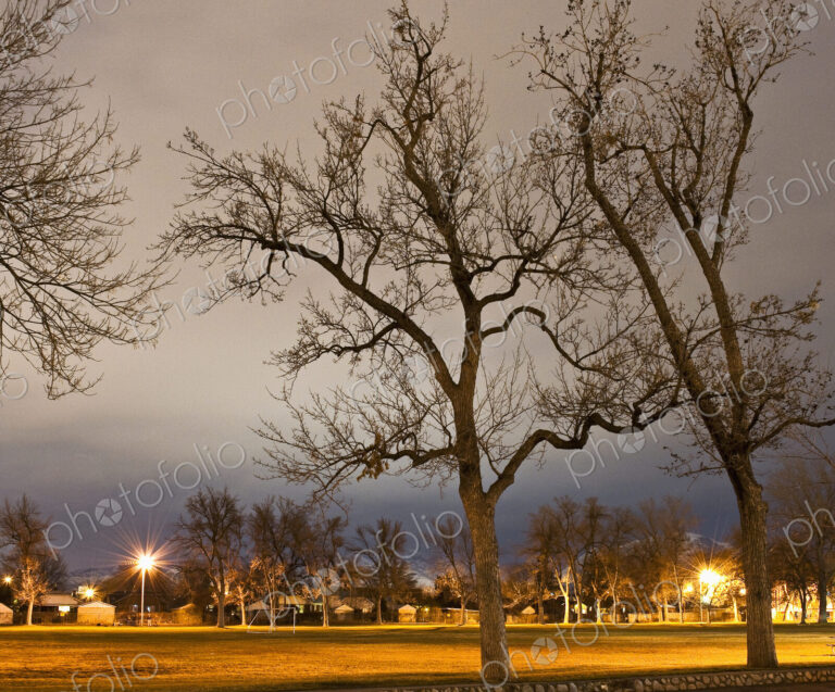 Park Field at Night