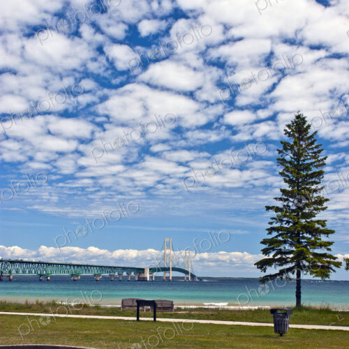 Park Overlooking a Shoreline and Bridge