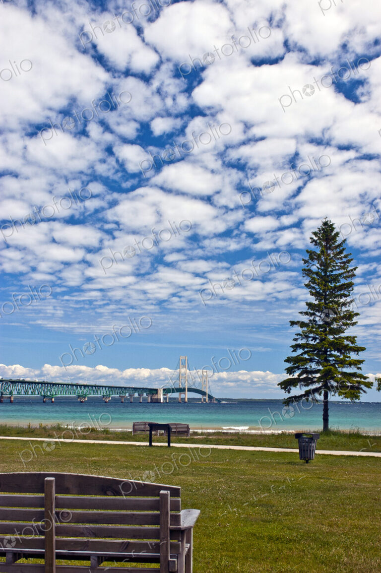 Park Overlooking a Shoreline and Bridge