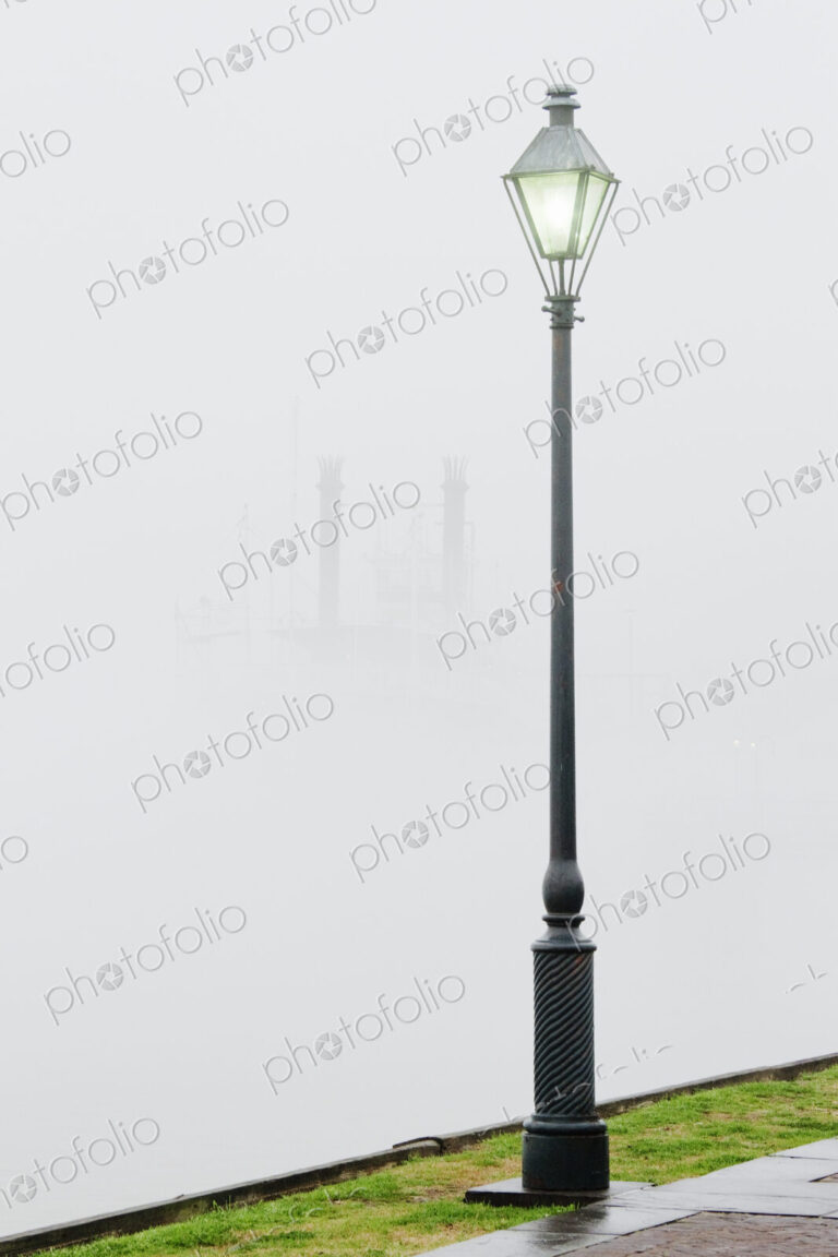 Park Street Lamp in the Fog