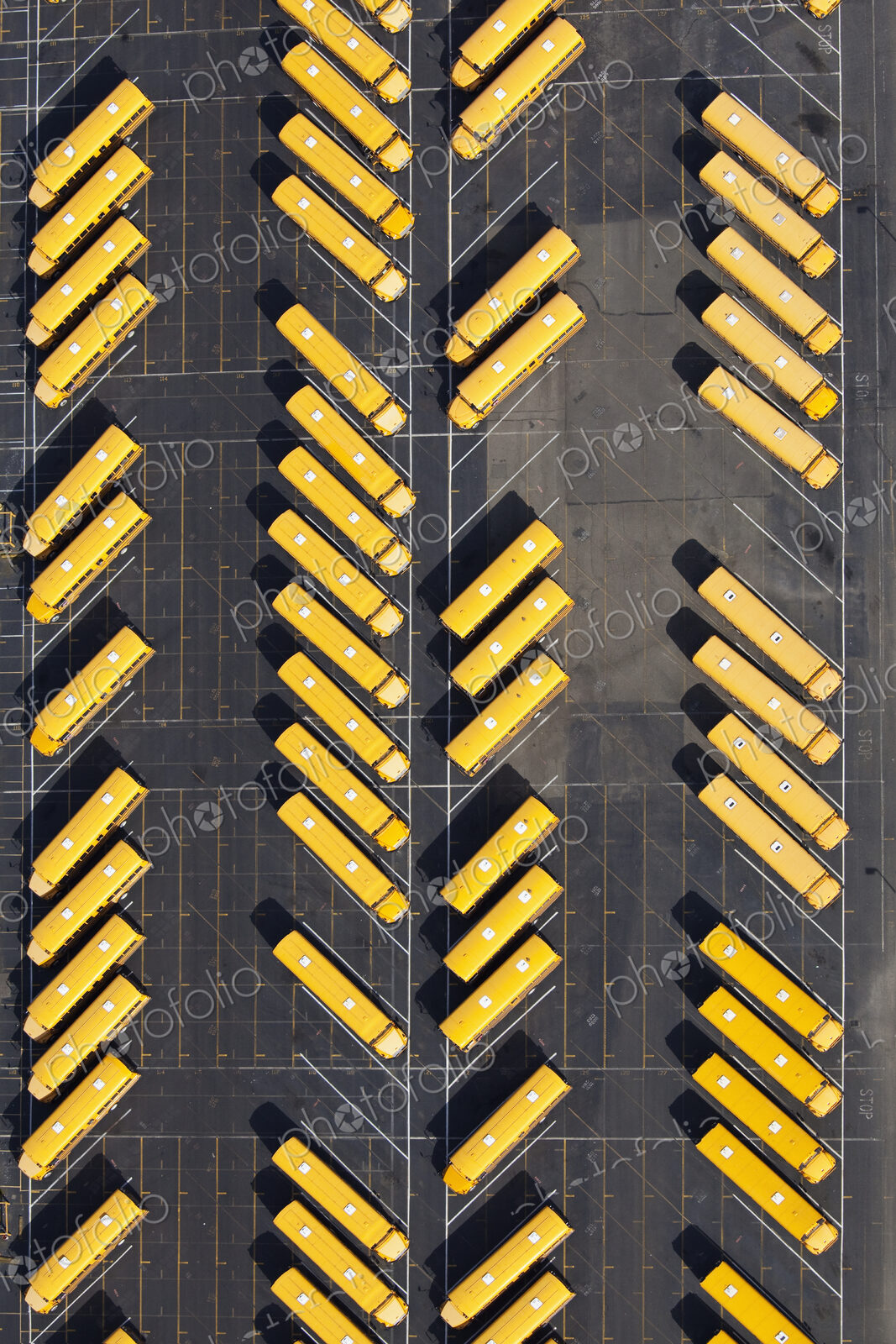 Parked School Buses In A Parking Lot