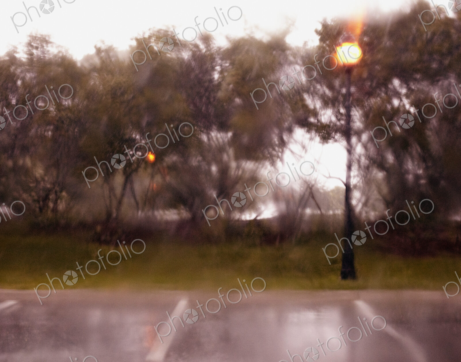 Parking Lot in the Rain