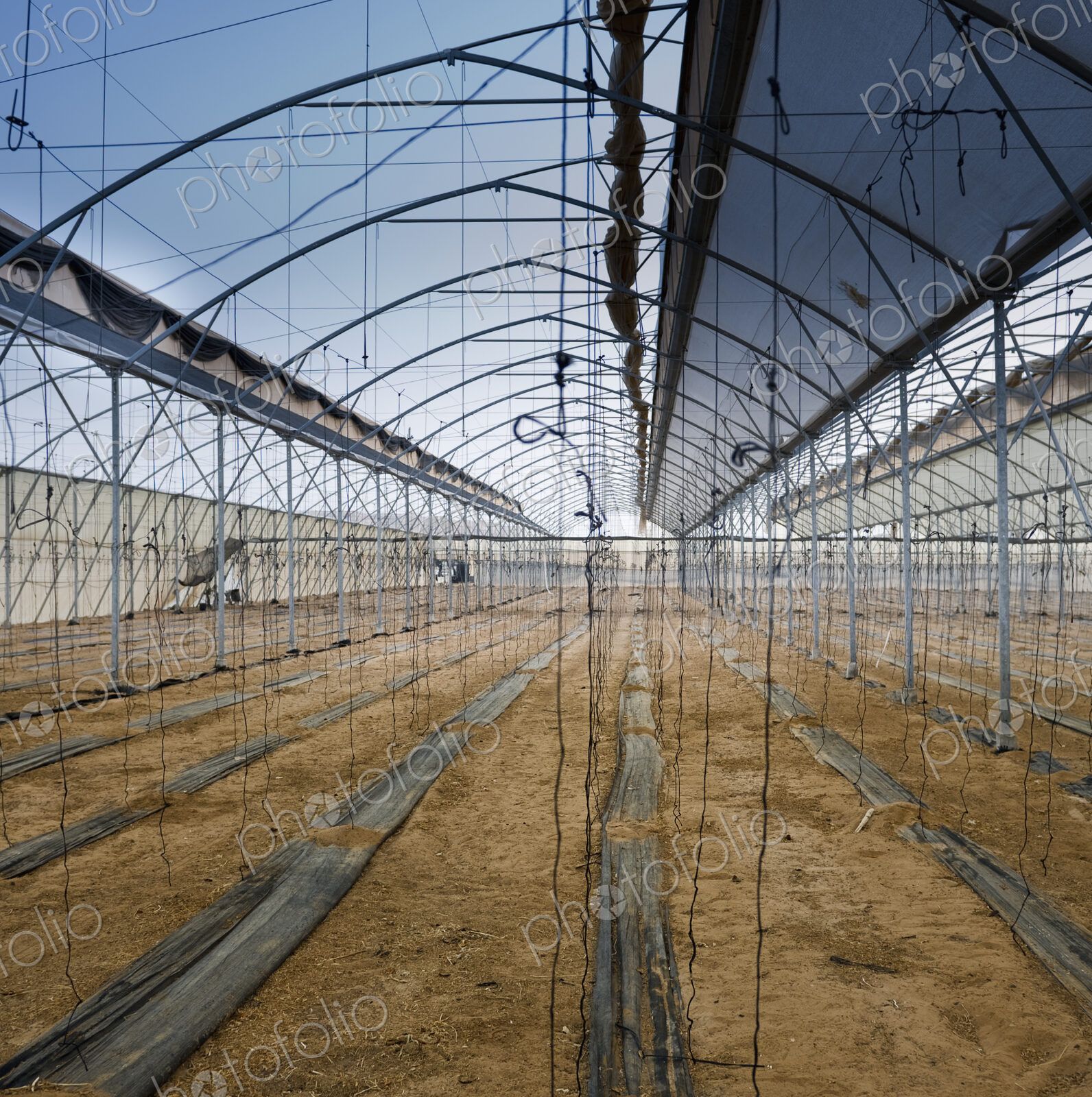 Partially Uncovered Greenhouse