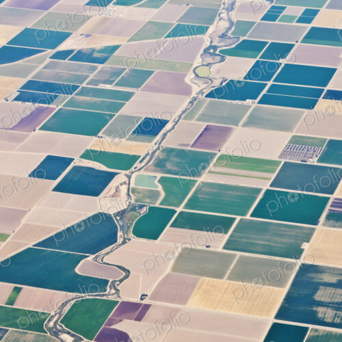 Patchwork Fields