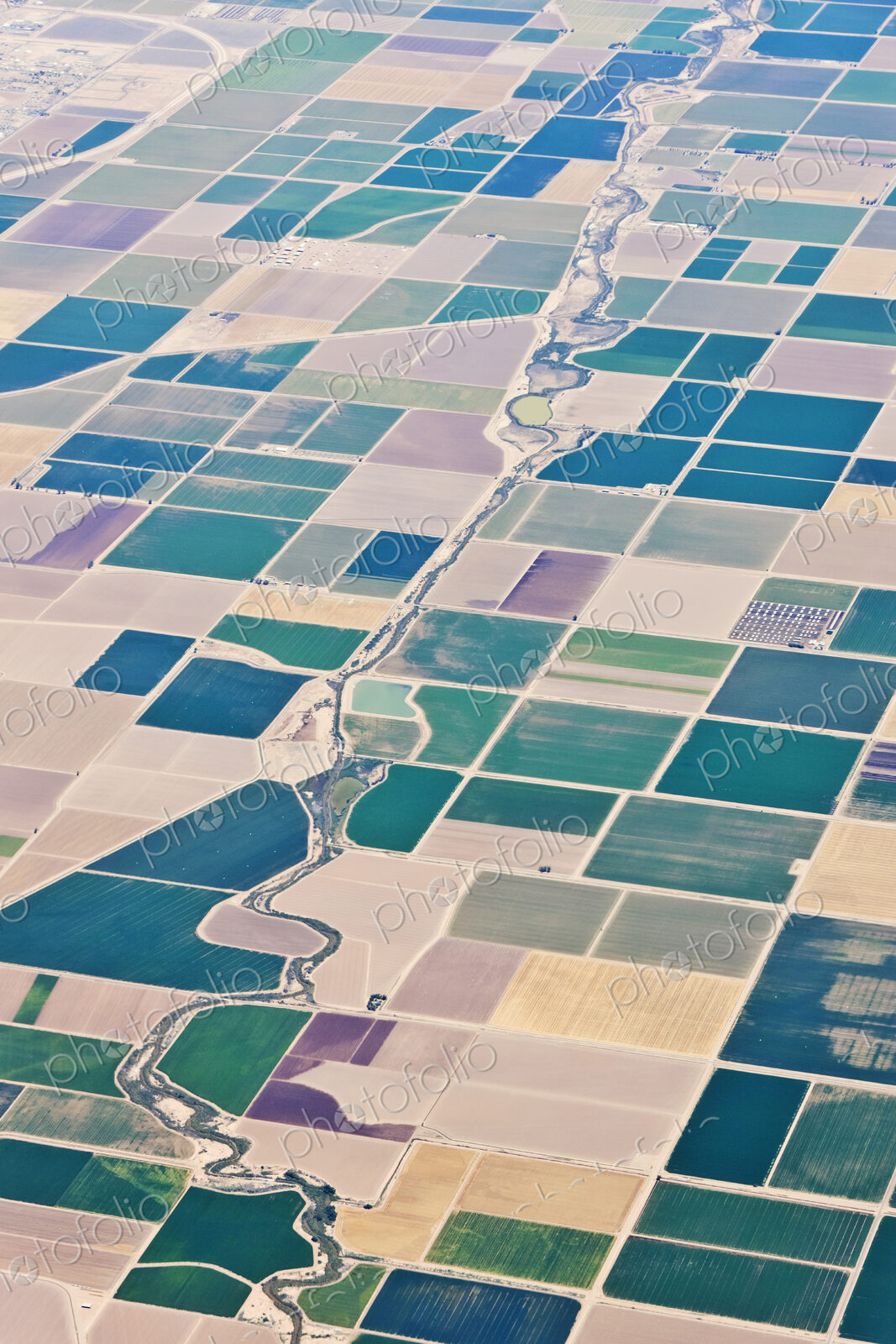 Patchwork Fields