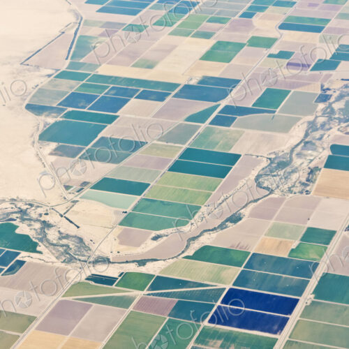Patchwork Fields