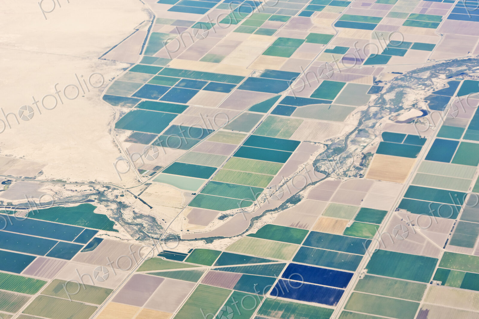 Patchwork Fields