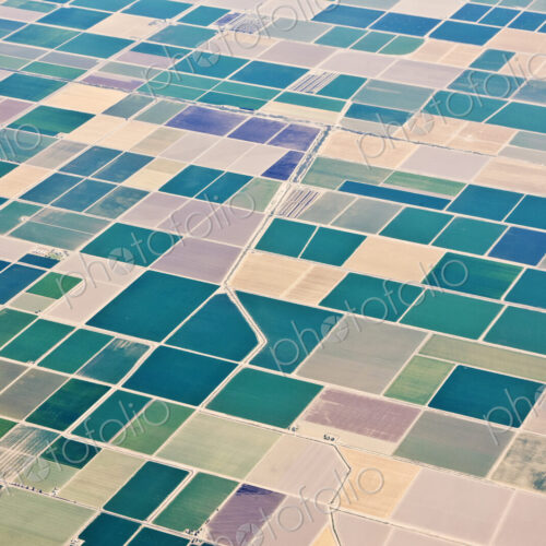 Patchwork Fields