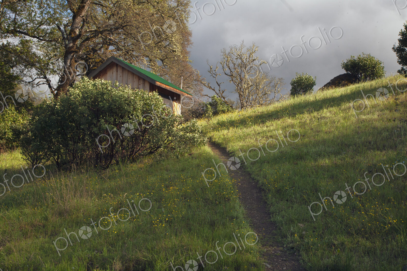 Path on rural hill