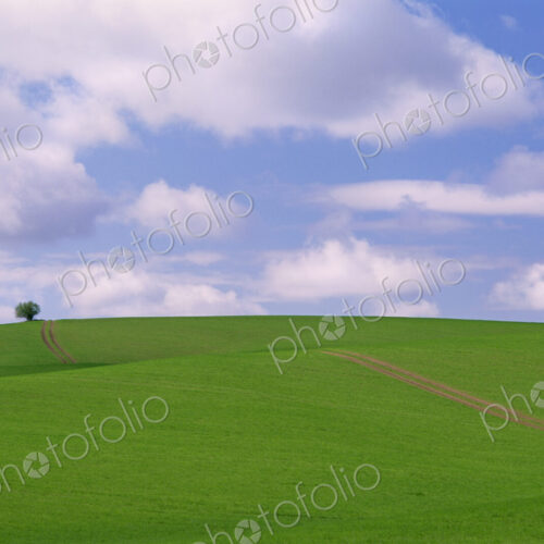 Path running through a farm field Path running through a farm field