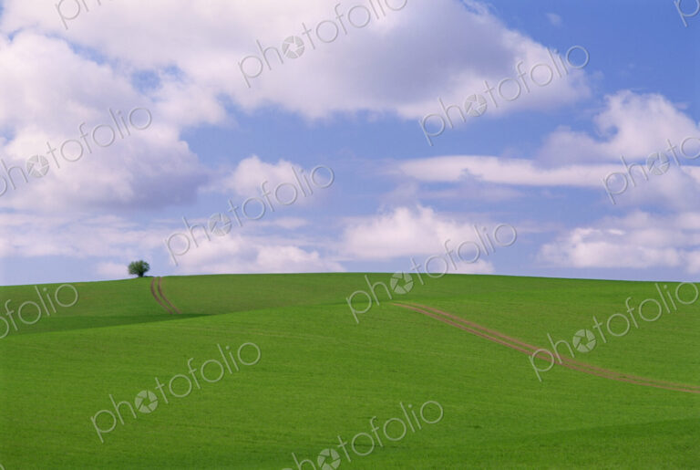Path running through a farm field