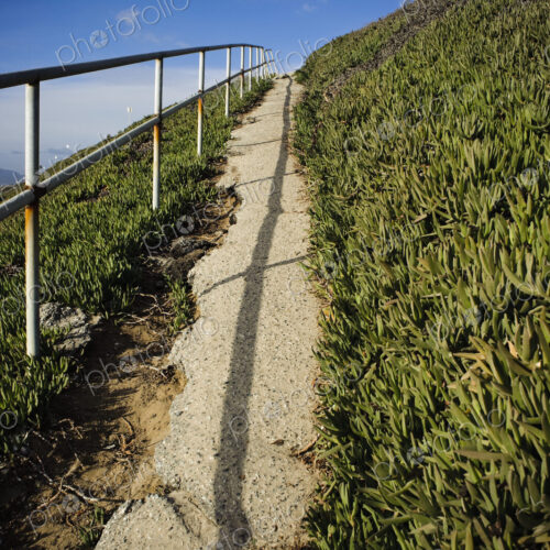 Path through Grasslands
