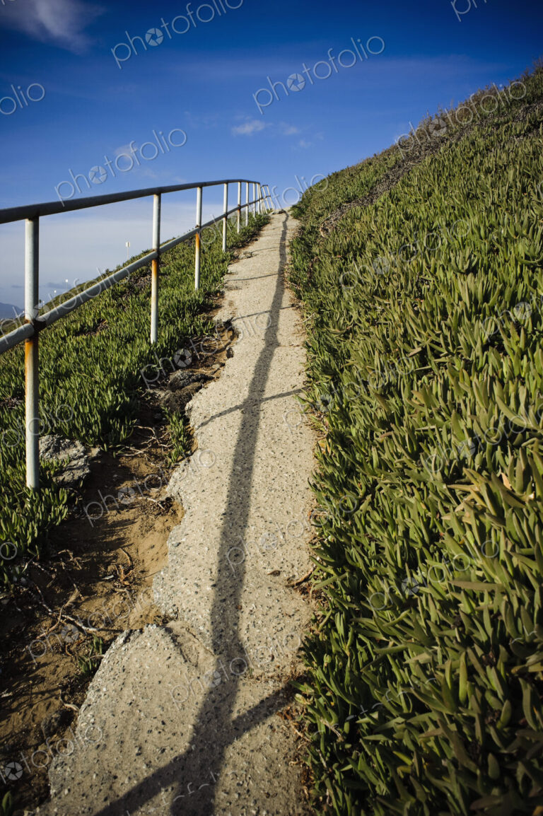 Path through Grasslands