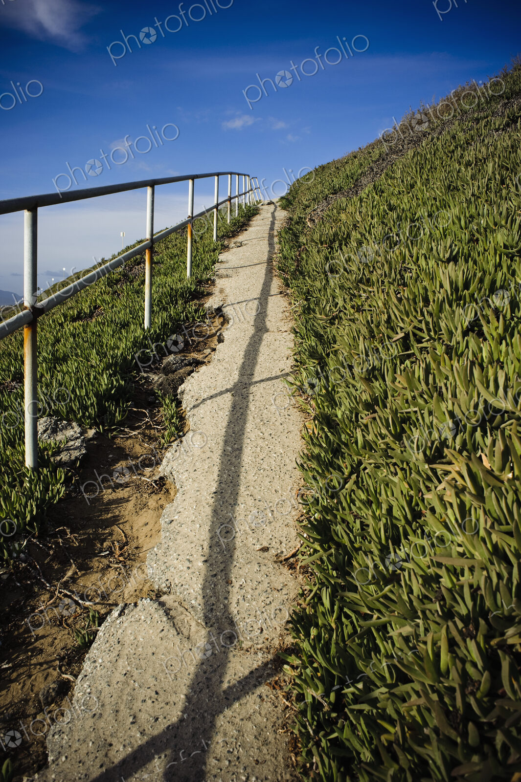 Path through Grasslands