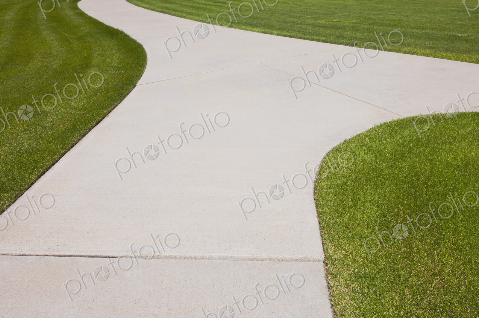 Pathway Through Grass